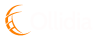 Ollidia